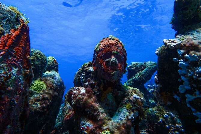 MUSA Museum and Colorful Reef 2 Tank Dive-Certified Divers - Who This Tour is Perfect For