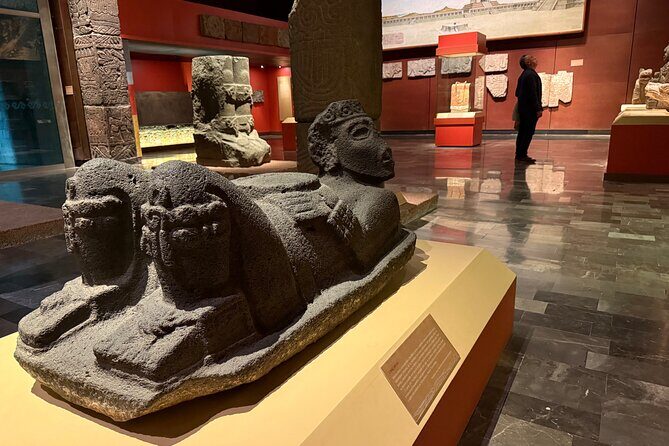 Museum of Anthropology and Chapultepec Castle VIP guided tour - Who Will Appreciate This Experience?