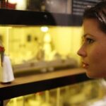 Museum of New Zealand Te Papa: Gallipoli Exhibition Guided Tour - Who Should Consider This Tour?