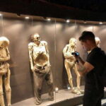 Museums and Mines of Guanajuato Private Tour - A Comprehensive Look at the Guanajuato Museums and Mines Private Tour