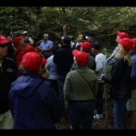 Mushroom or Truffle Hunting - A Closer Look at the Mushroom and Truffle Hunt Near Bellagio