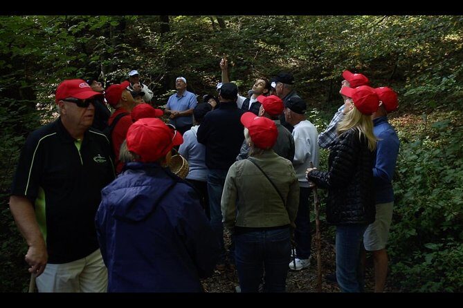 Mushroom or Truffle Hunting - A Closer Look at the Mushroom and Truffle Hunt Near Bellagio