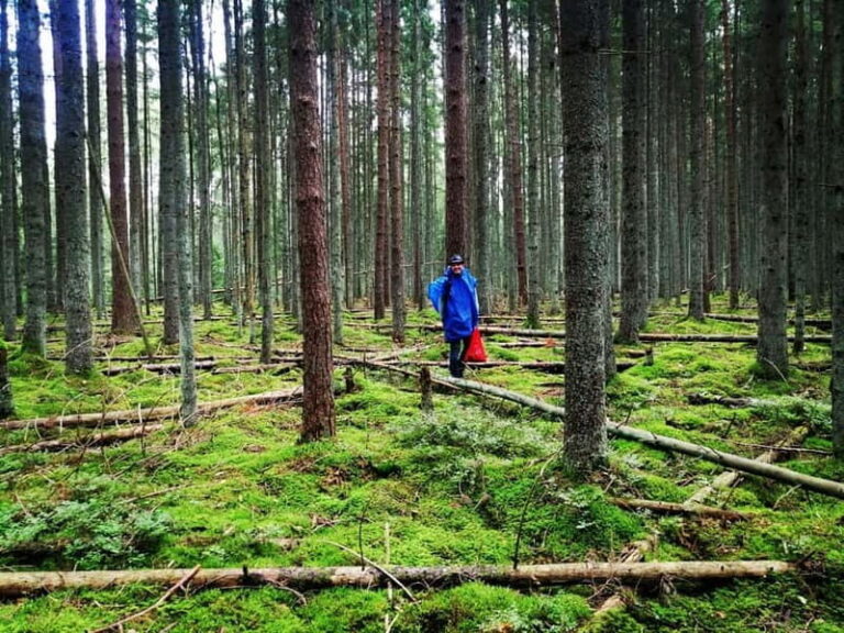 Mushroom picking in the forests near Riga - The Real Value of This Tour