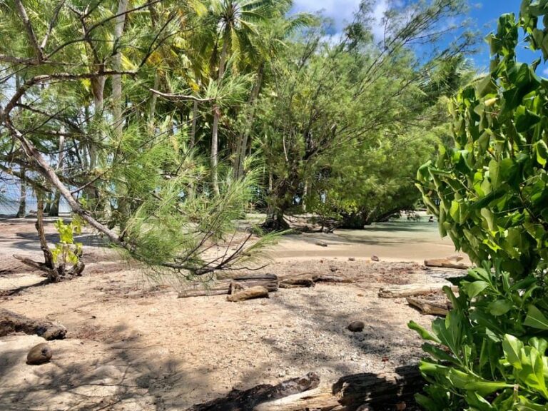 Must-Do : Nature, Culture & Moments Uniques  MirimirI Tours - An In-Depth Look at the Raiatea Experience