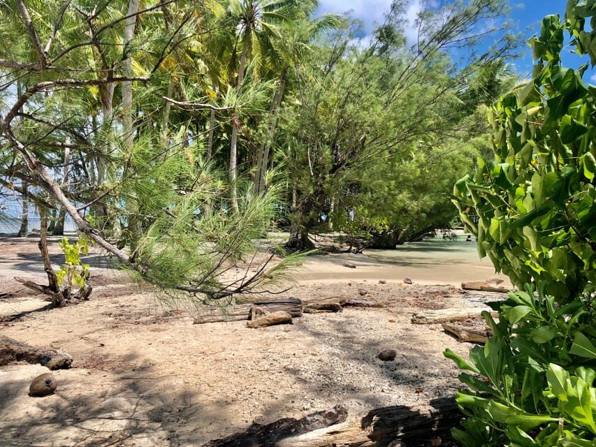 Must-Do : Nature, Culture & Moments Uniques  MirimirI Tours - An In-Depth Look at the Raiatea Experience