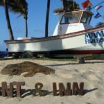 'Must-See Places & Things' for 'First Time' on Maui, Hawaii ... - Final Thoughts