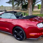 Mustang Paris Tours - Who Should Book This Tour?