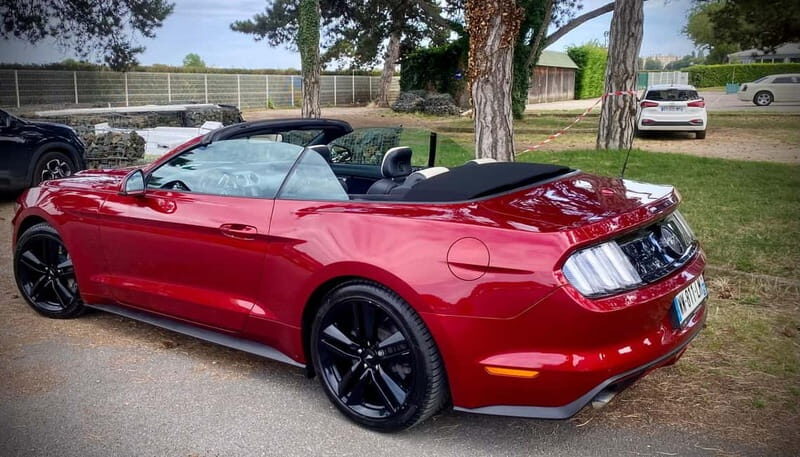 Mustang Paris Tours - Who Should Book This Tour?
