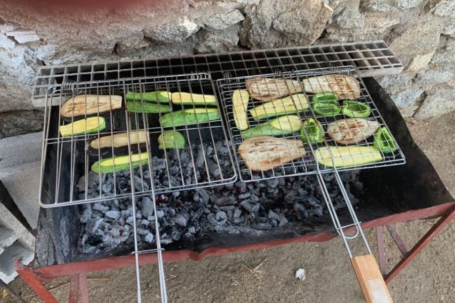 Mykonos: Barbecue at a Mykonian Farm - An Authentic Greek Experience on Mykonos