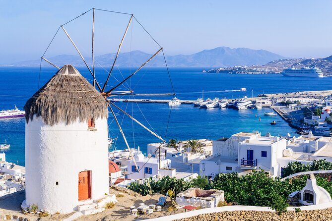 Mykonos Coastal Delights: A Cruise Passenger's Dream Day - Who Should Consider This Tour?