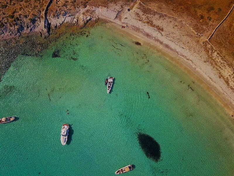 Mykonos: Delos and Rhenia Land Cruise with Fruit and Snacks - A Close Look at the Experience