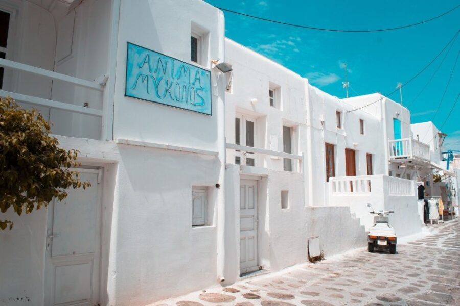 Mykonos: Delos and the city walking tour - An In-Depth Look at the Mykonos: Delos & City Walking Tour