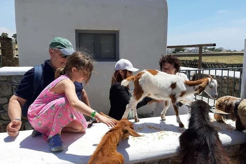Mykonos Family Jeep Adventure: Farm, Winery and Beach Fun - Who Should Consider This Tour?