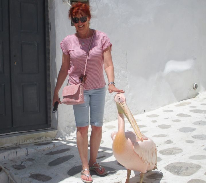 Mykonos: Guided Highlights Tour - Who Should Book This Tour?