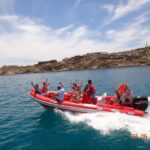 Mykonos: Private Boat Trip and Snorkeling Sea Safari - An In-Depth Look at the Mykonos Sea Safari Experience