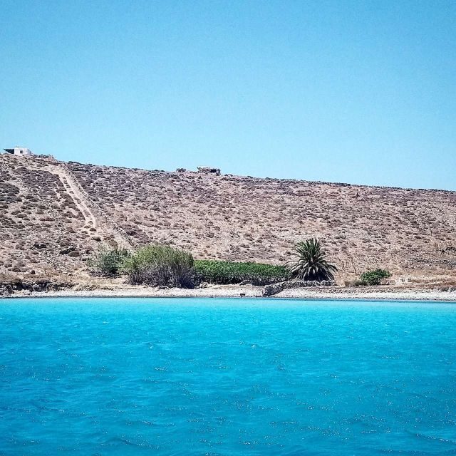 Mykonos: Private Delos and Rhenia 6hrs Cruise with Lunch - What We Loved About This Tour