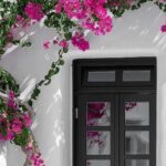 Mykonos Shore Excursion: Private Old Town Walking Tour - The Experience in Detail