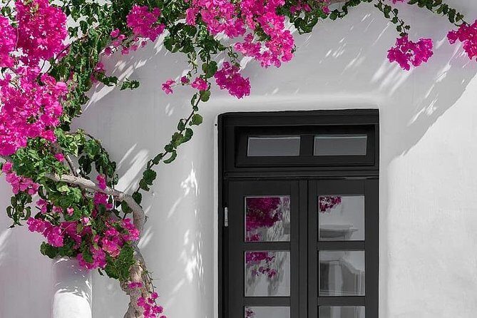 Mykonos Shore Excursion: Private Old Town Walking Tour - The Experience in Detail