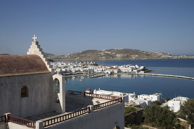 Mykonos South Coast Cruise with lunch - Who Should Consider This Tour?