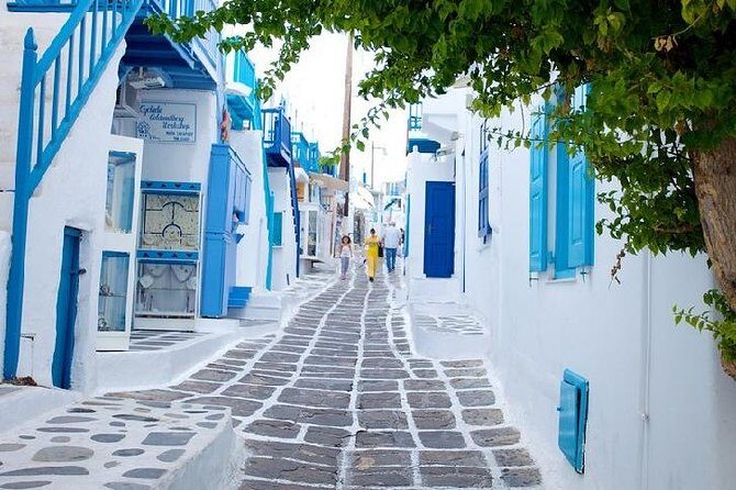 Mykonos Town and Island Half-Day Tour - Who Will Get the Most from This Tour?