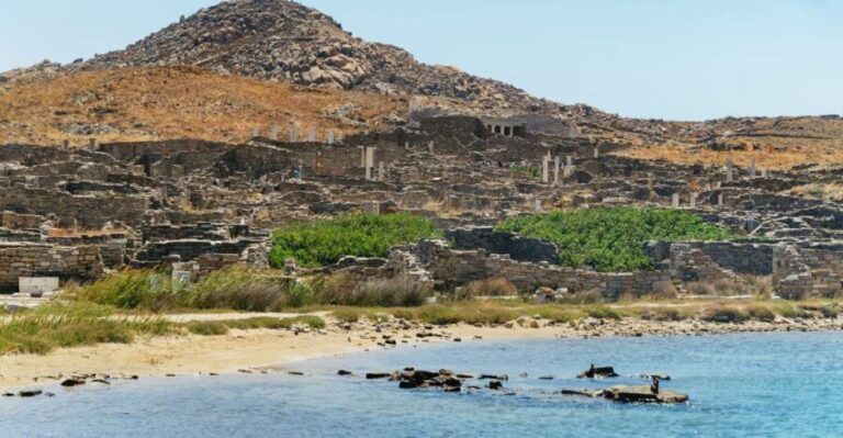 Mykonos Town: Archaeological Site of Delos Guided Day Trip - A Deep Dive into the Delos Guided Day Trip