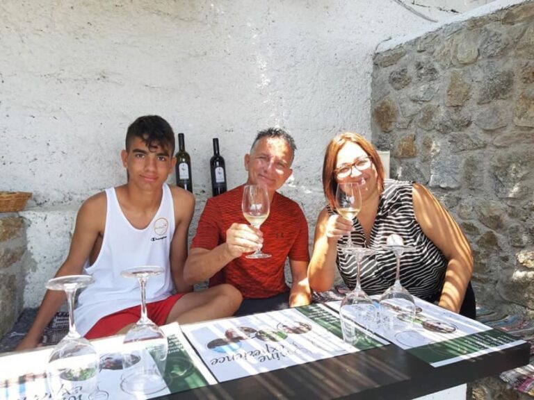 Mykonos: Wine Tasting at a Mykonian Farm - A Deep Dive into the Experience