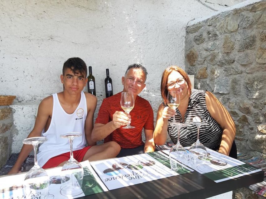 Mykonos: Wine Tasting at a Mykonian Farm - A Deep Dive into the Experience