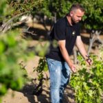 Mykonos: Winery Vineyard Experience with Food & Wine Tasting - A Detailed Look at the Vineyard Experience in Mykonos