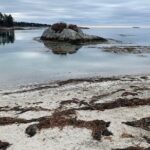 Mysterious Lore and More Walking Tour of Boothbay Harbor - An In-Depth Look at the Mysterious Lore & More Walking Tour