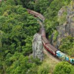 N. Queensland: Kuranda Rainforest Full-Day Tour - A Deep Dive into the Kuranda Rainforest Full-Day Experience