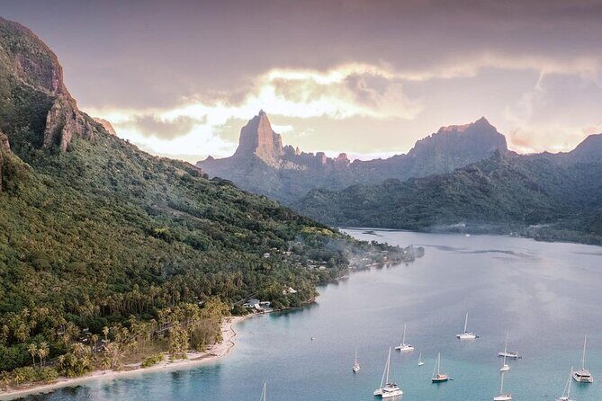 N°1 Moorea Transfers Shuttle Airport Ferry terminal - The Sum Up: Who Should Consider This Service?