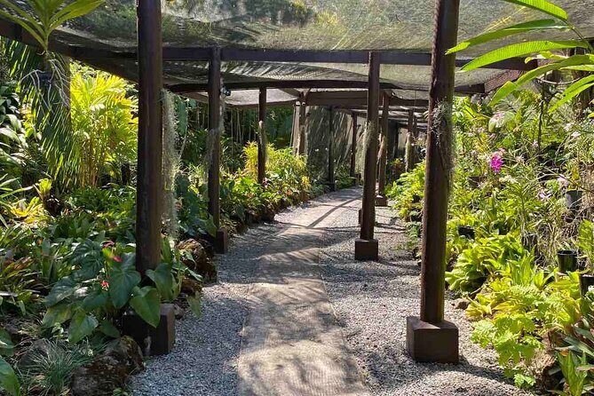Nadi Fiji Historical Half Day Tour - Frequently Asked Questions
