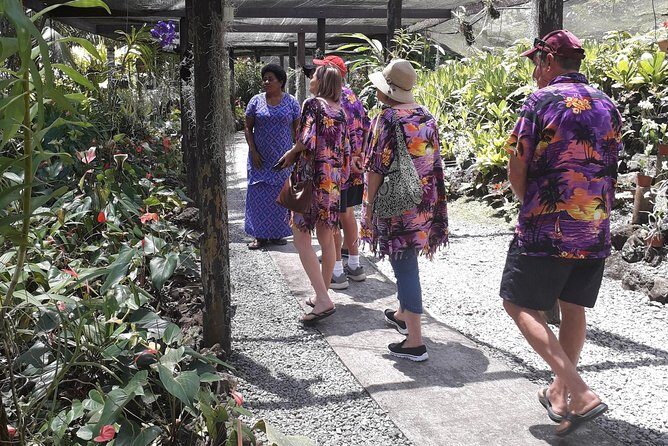 Nadi Sightseeing & Mud Pool Tour - Who Would Enjoy This Tour?