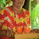 Nadi Therapeutic Mud Pools and Garden Tour - Shore Excursions EX PORT DENARAU - FAQs