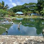 NADI: Tifajek Mud Pool and Hot Spring Natural Spa Tour - Who Will Love This Tour?