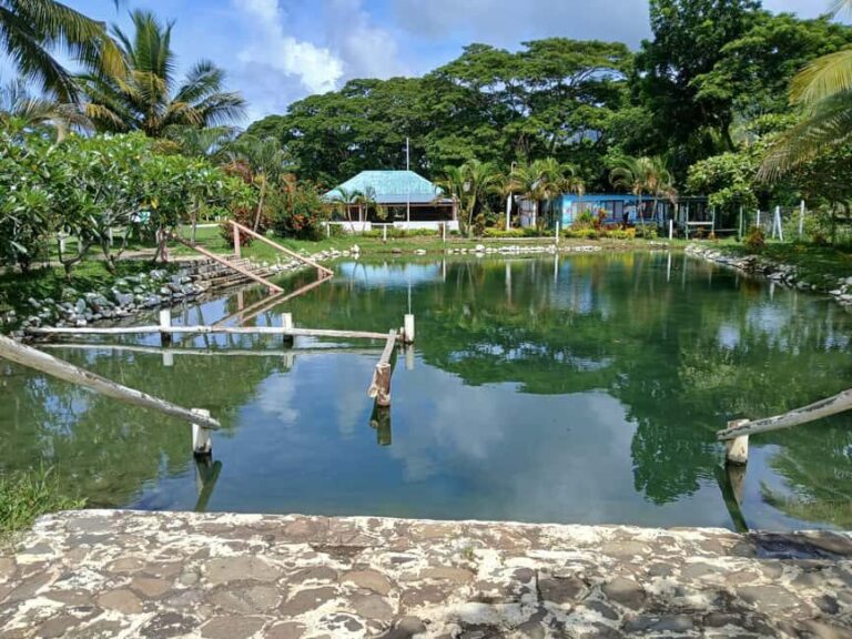 NADI: Tifajek Mud Pool and Hot Spring Natural Spa Tour - Who Will Love This Tour?