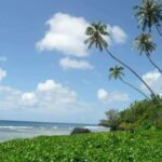 Namua Turtle Island and Eastern Upolu Tour - A Closer Look at the Itinerary
