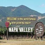 Napa and Sonoma Small Group Wine Tour from San Francisco - What Makes This Tour Stand Out?