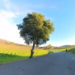Napa/Sonoma: Guided Tour for Cycling Enthusiasts - Who Would Love This Tour?