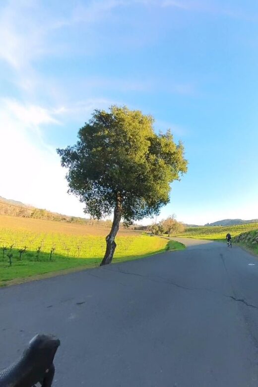 Napa/Sonoma: Guided Tour for Cycling Enthusiasts - Who Would Love This Tour?