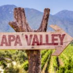 Napa Valley: Guided Wine Tour with Picnic Lunch - What’s Not Included and Why It Matters