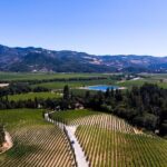 Napa Valley's Best Wine Tour w/ Local Expert - Who Will Appreciate This Tour?
