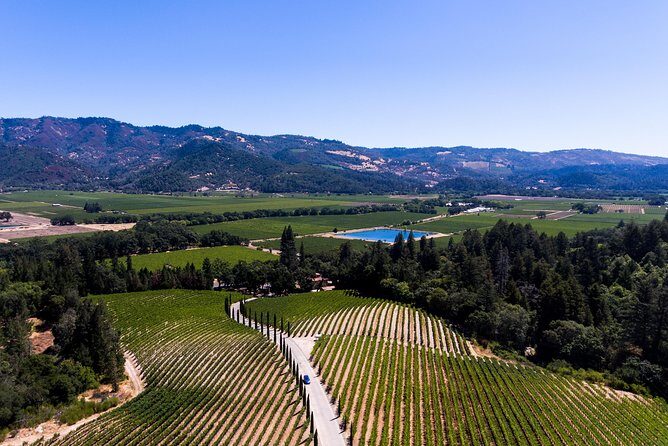 Napa Valley's Best Wine Tour w/ Local Expert - Who Will Appreciate This Tour?