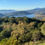 Napa Wine Tours - The Sum Up