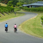 Napier: Cape Coast Winery Tour on Pedal or E-Bikes - Practical Details and Tips