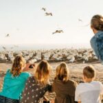 Napier: Cape Kidnappers Gannet, Nature & Sightseeing Tour - A Deep Dive into the Gannet Colony Experience