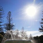 Napier Cruise Excursion Art Deco Tour and Wine Tasting - The Māori Cultural Stop: Atea a Rangi