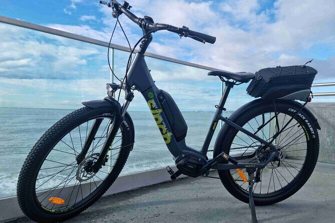 Napier E-bike Hire - Who Should Consider This Tour?