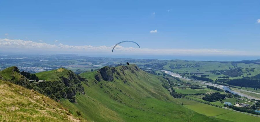 Napier: Highlights & Tour Exploring the Best of this Region - Why This Tour Offers Outstanding Value