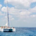 Naples: Catamaran Cruises with Wildlife Views - Itinerary Breakdown: What You’ll See and Do